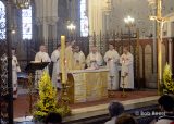 2013 Lourdes Pilgrimage - MONDAY Mass Upper Basilica (13/24)
